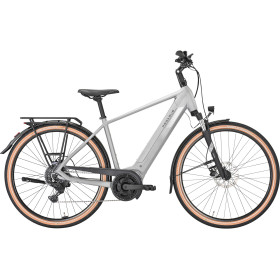 Pegasus Solero Evo 9 500wh homme gris