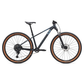 Liv Tempt 1 29"
