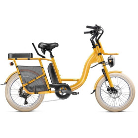 Gaya Le Compact Kit Passager Adulte 450wh safran