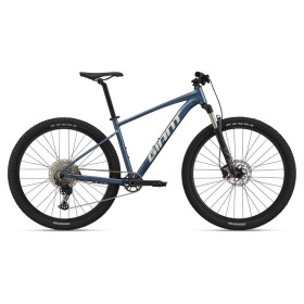 Giant Talon 29 0 Blue Ashes