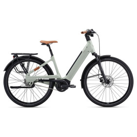 Liv Allure E+ 2 500wh Desert Sage