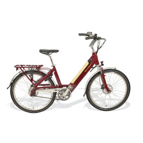 Starway Urban 24" 500wh Equi Motion