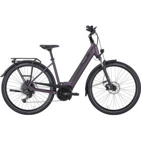 Pegasus Solero Evo 10 500wh wave violet