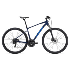 Giant Roam Disc 4