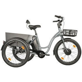 Leader Fox Tricycle Lovelo 24" 600wh
