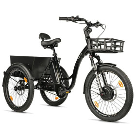 Leader Fox Tricycle Curtis 24" 600wh